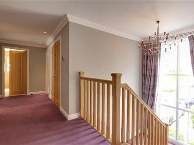 Picture 16